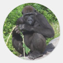 Suche nach primate aufkleber Natur