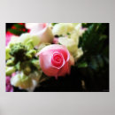 Suche nach single rose poster Rosa