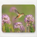 Suche nach kolibri mousepads Frühling