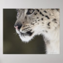 Suche nach betrachtung poster Konzentration