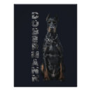 Suche nach dobermanns poster Doberin