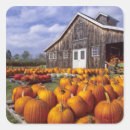 Suche nach bauernhof aufkleber Rückgang