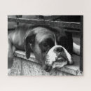 Suche nach boxer puzzle Schwarz