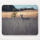 Suche nach kitz mousepads Rotwild
