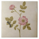 Suche nach raupen fliesen Blumen