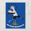 Suche nach sekretär postkarten Raubvogel