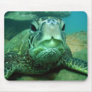 Suche nach schnorcheln mousepads Unterwasser