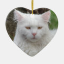 Suche nach gelbe katze ornamente Kitty