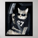 Suche nach katze lustig poster Tiktok
