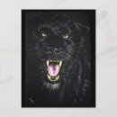 Suche nach schwarze panther postkarten Wildkatze