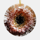 Suche nach gerbera ornamente Natur