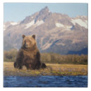 Suche nach umwelt fliesen Fleischfresser