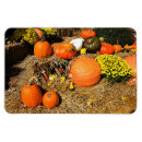 Suche nach jahreszeit magnete Rückgang