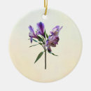 Suche nach lilie ornamente Lila