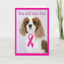 Suche nach kuckuck karten Cavalier king charles spaniel