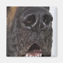 Suche nach doggen magnete Vertikal