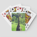 Suche nach giraffe spielkarten Afrika