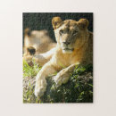 Suche nach afrikanischer löwe puzzle Tier