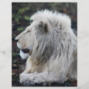 Suche nach safari flyer Tiere