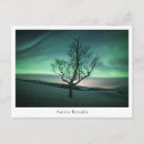 Suche nach aurora borealis postkarten Nordlichter