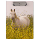 Suche nach pferde klemmbrett Senf