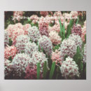 Suche nach rosa blüten poster Boho