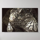 Suche nach leguane poster Tierwelt