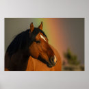Suche nach goldenes licht poster Wildpferd