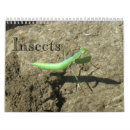 Suche nach insekten kalender Grasshopper