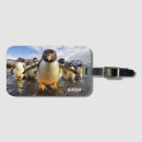 Suche nach pinguin gepäckanhänger Tiere
