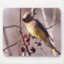 Suche nach ungewöhnliche mousepads Mausunterlagen