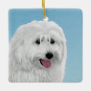 Suche nach polnische ornamente Weiß