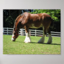 Suche nach clydesdale poster Verkleidet