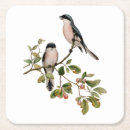 Suche nach lieder untersetzer Vögel