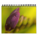 Suche nach nahaufnahme kalender Flora