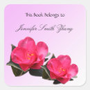 Suche nach rosa kamelie Blumen