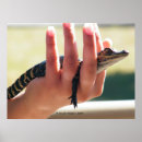 Suche nach nahaufnahme poster Tier