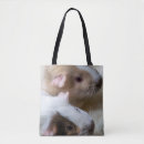 Suche nach meerschweinchen taschen Haustiere