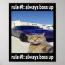 Suche nach meme poster Katzenliebhaber