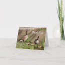 Suche nach kanada gänse Natur