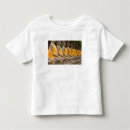Suche nach buddhas tshirts Religiös