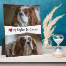 Suche nach englisch fotoplatten Tier