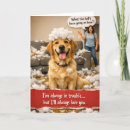 Suche nach schuldig karten Hund