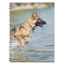 Suche nach deutscher schäferhund kleine notizbücher Welpe