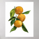 Suche nach mandarinen poster Elegant