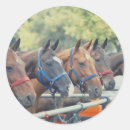 Suche nach polo aufkleber Pony