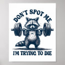 Suche nach lustiger waschbär poster Spaß