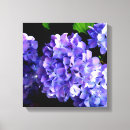 Suche nach hydrangeas leinwandbilder Lila
