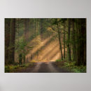 Suche nach zedernbaum poster Pazifischer nordwesten