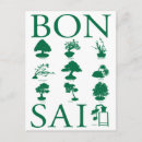 Suche nach bonsai postkarten Pflanze